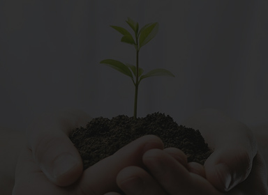 永利集团·304am(中国游)官方网站